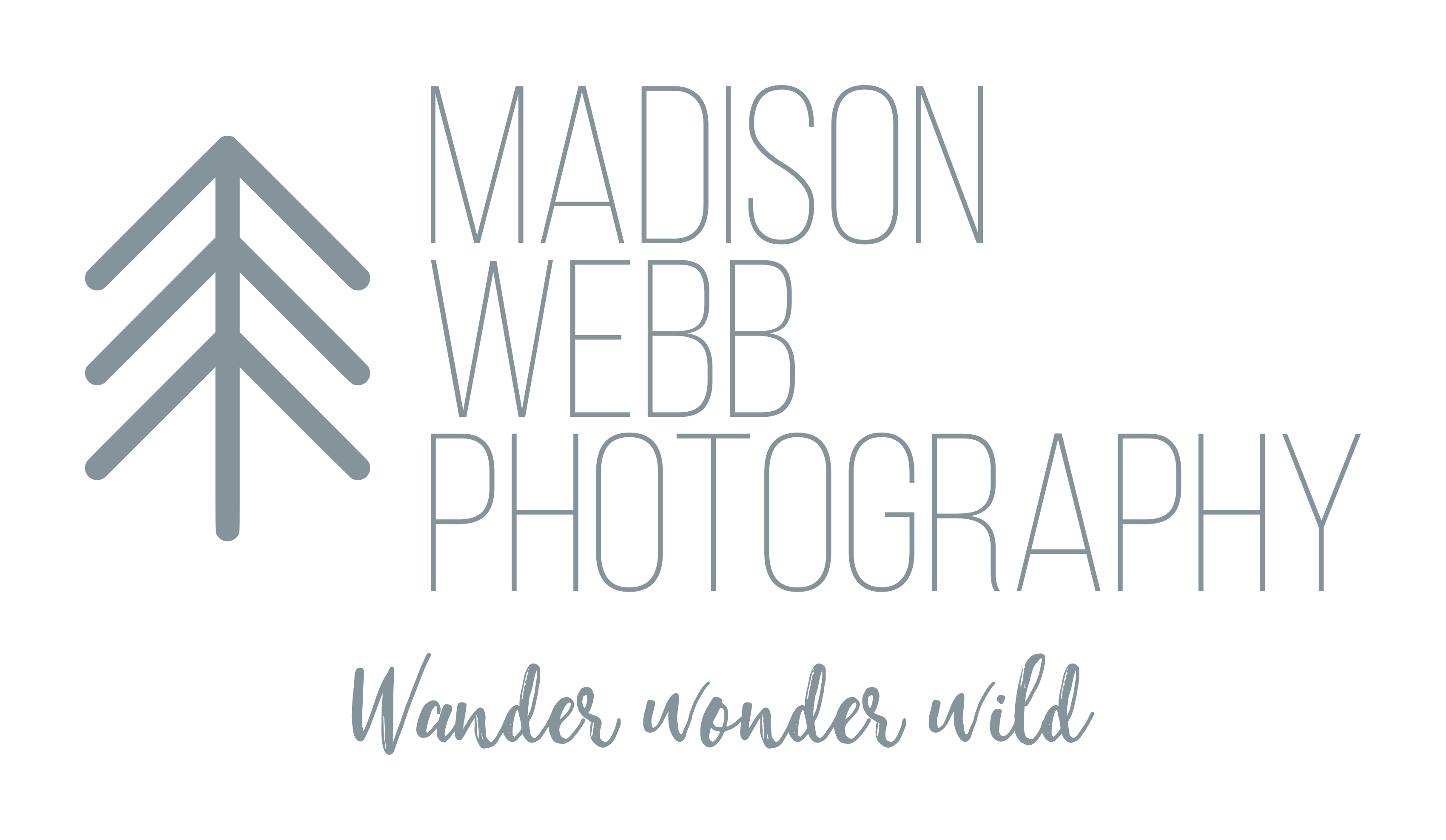 Madison Webb Photography <span> | Wyoming Wedding Photographer </span>
