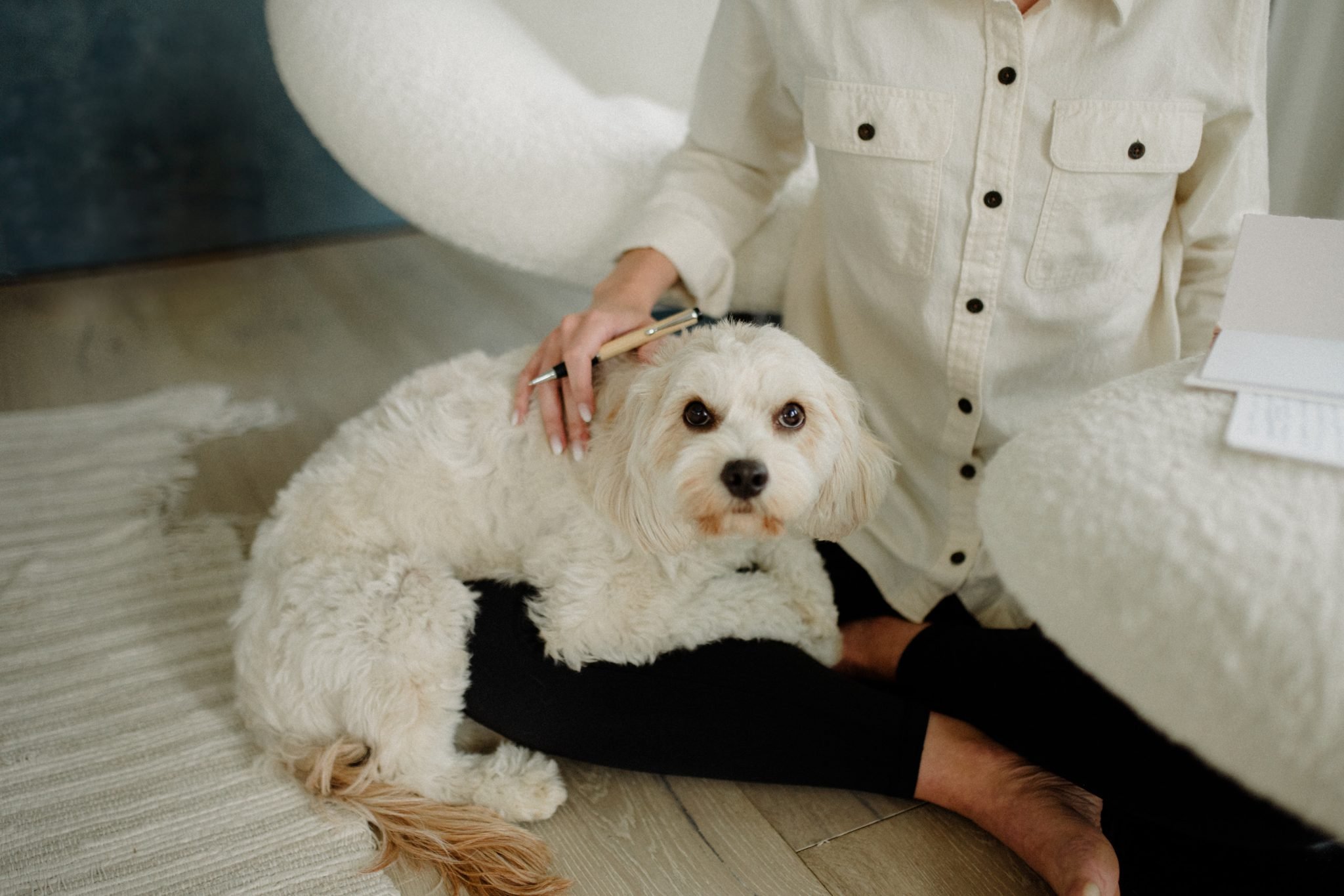 bride writing a letter with her dog for a montana summer wedding