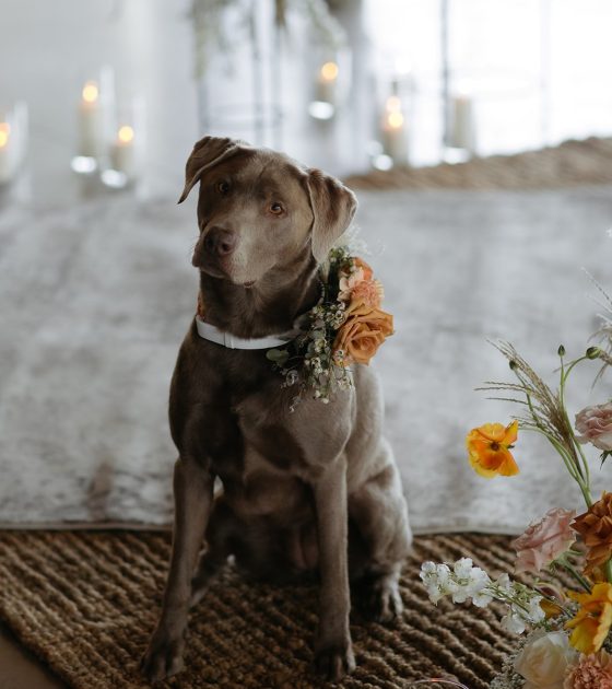 Charming Modern Affair with Whimsical Touches in Whistler