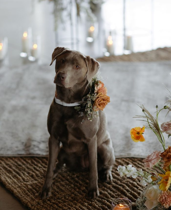 Charming Modern Affair with Whimsical Touches in Whistler