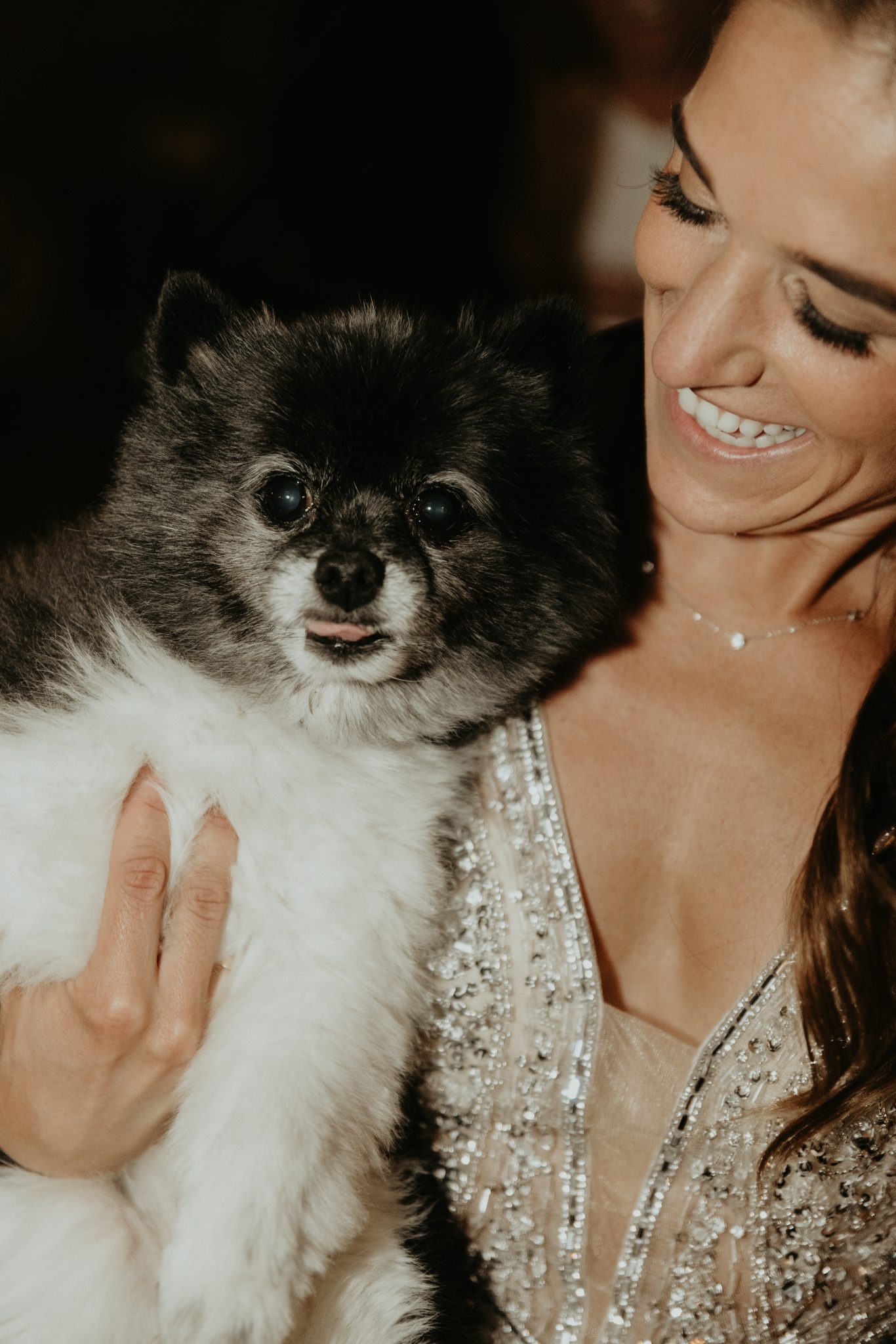 Fairmont Banff Springs Wedding bride with her adorable dog on the dance floor and the bride is wearing her second dress for the night