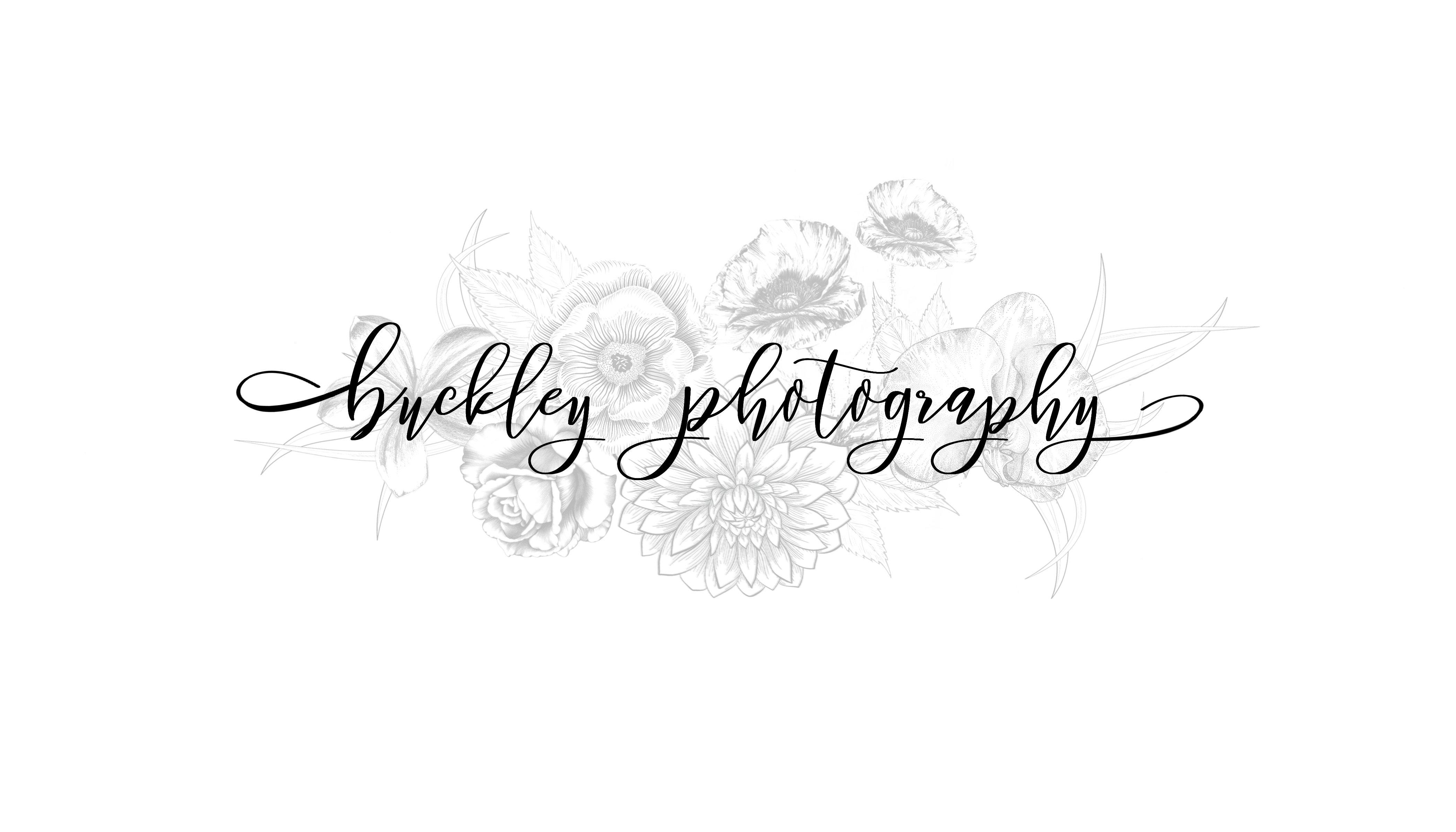 Buckley Photography <span> | Idaho Wedding Photographer </span>