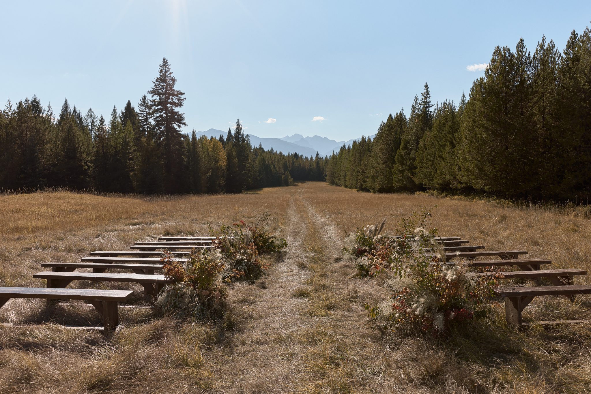 Outdoor wedding ceremony setup in a field surrounded by trees at a Montana summer wedding.