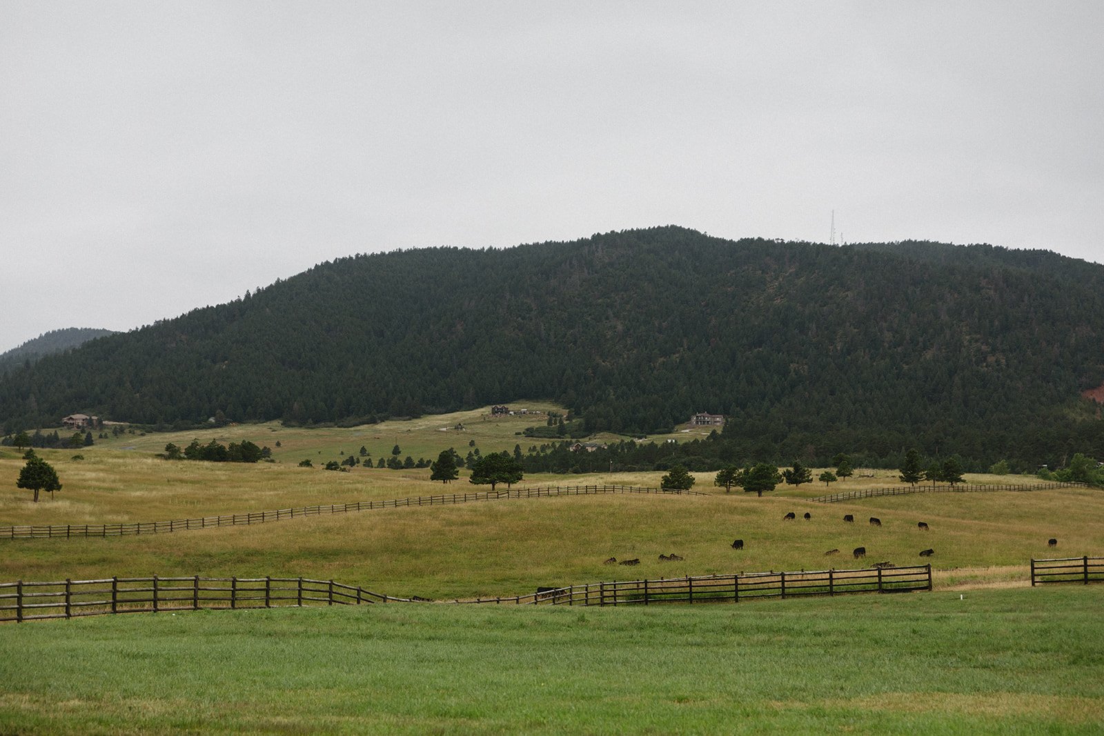 Scenic view of the ranch with mountains in the background at Spruce Mountain Ranch Summer Wedding.