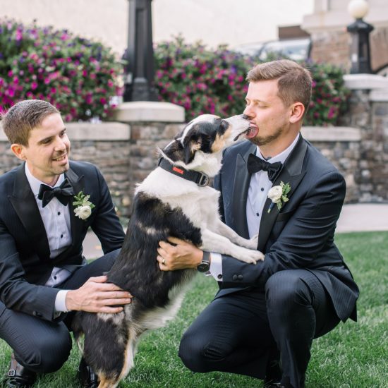 Breathtaking Mountain Vista Wedding in Banff