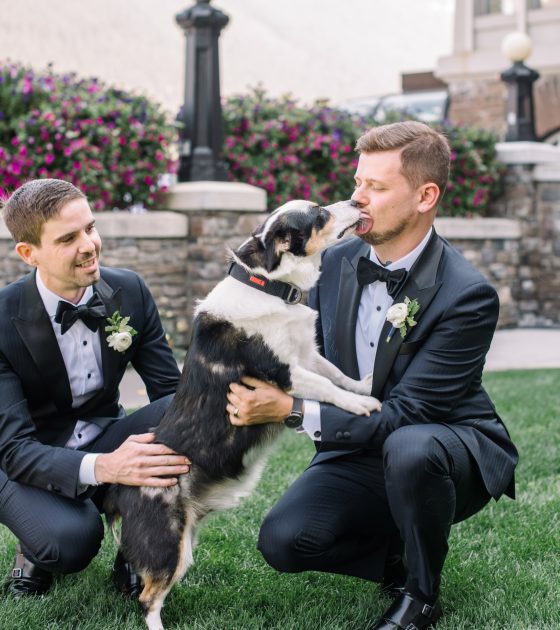Breathtaking Mountain Vista Wedding in Banff