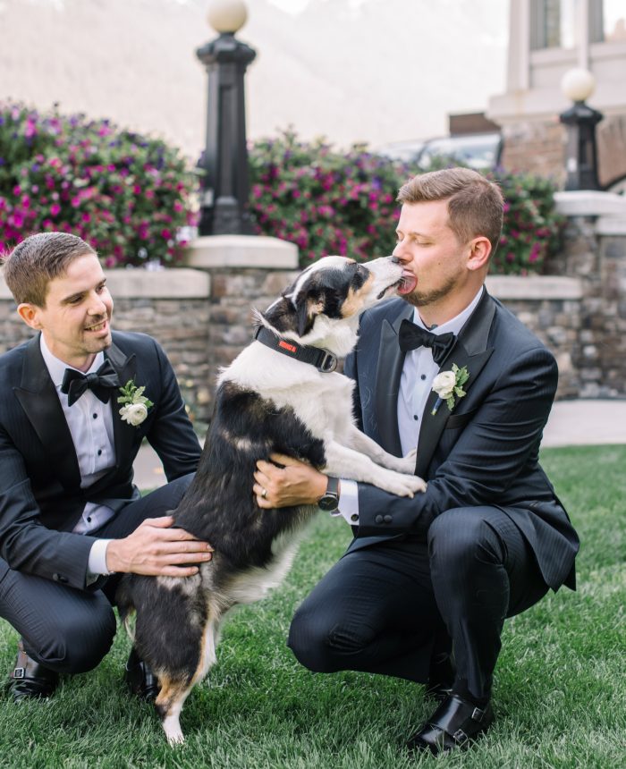 Breathtaking Mountain Vista Wedding in Banff