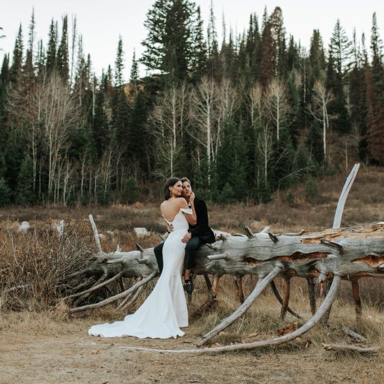 The Ultimate Guide to Finding the Perfect Wedding Dress: Top Bridal Boutiques Across Utah