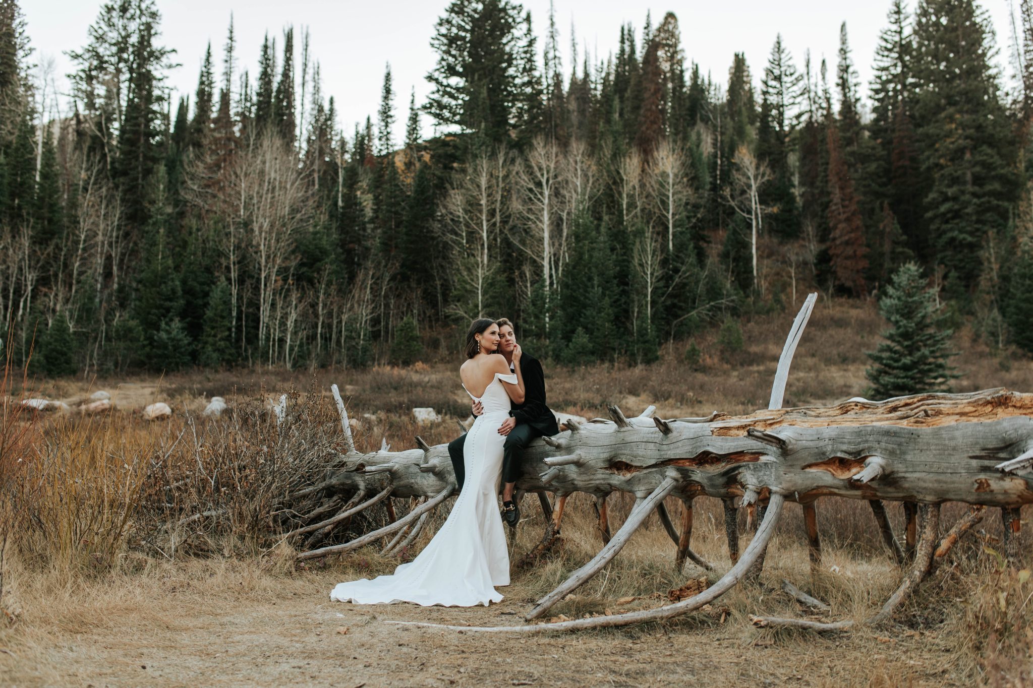 The Ultimate Guide to Finding the Perfect Wedding Dress: Top Bridal Boutiques Across Utah