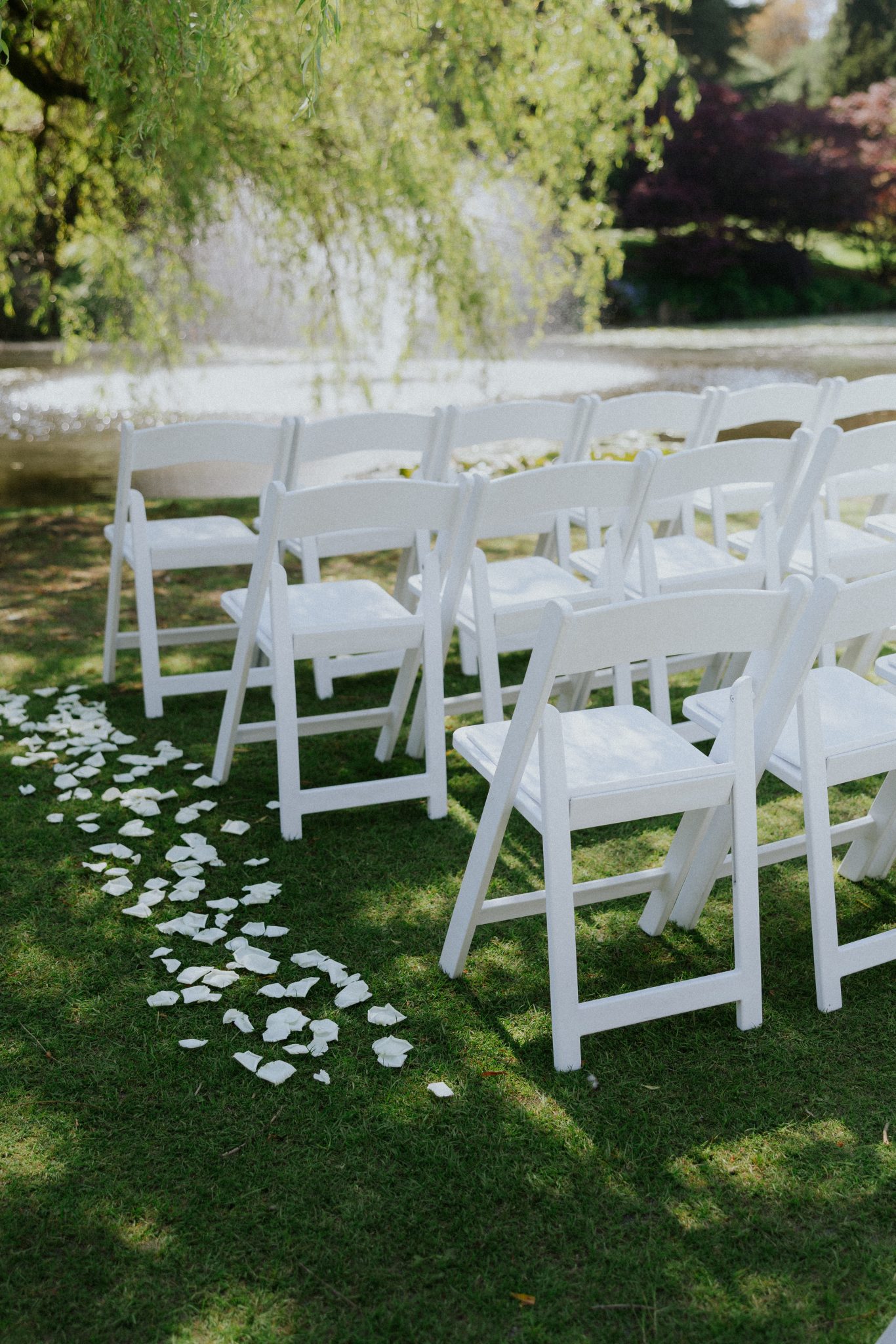 Outdoor wedding ceremony setup with white chairs and scattered rose petals under a willow tree at a Black and White Vancouver Wedding.