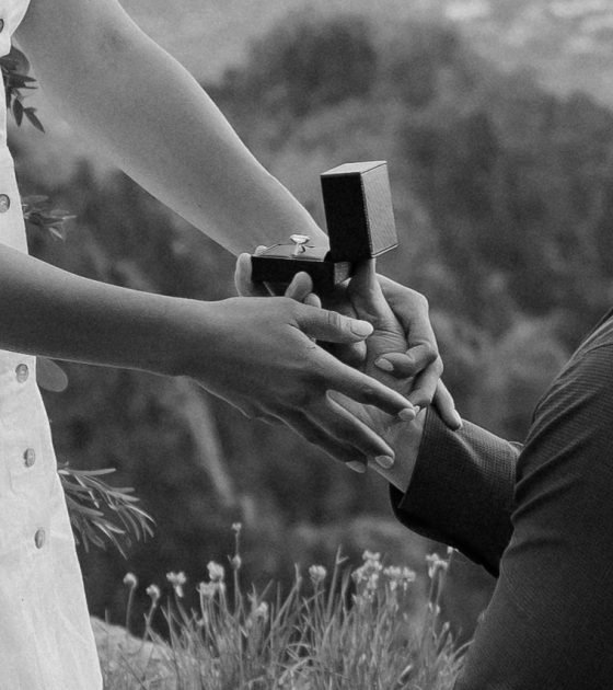 Surprise New Mexico Proposal with a View of Albuquerque