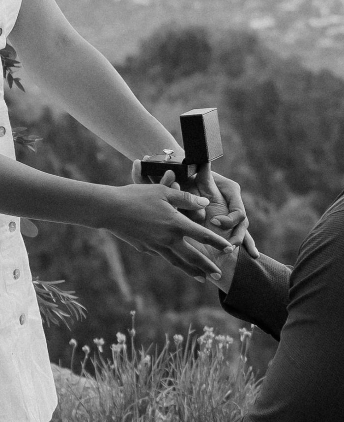 Surprise New Mexico Proposal with a View of Albuquerque