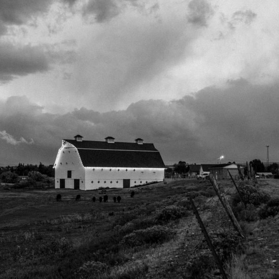 The Canary Barn at Saratoga Ranch