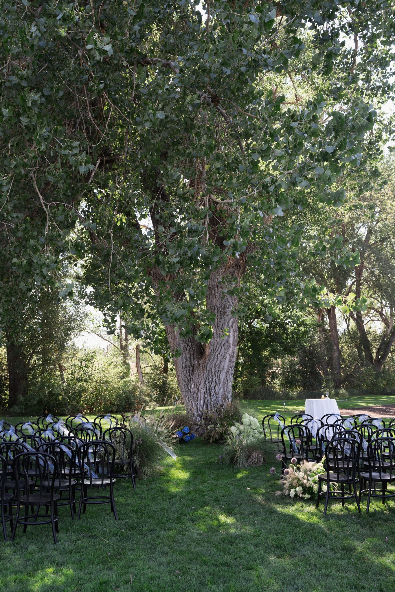 Bride in a white gown holding a wildflower-inspired bouquet with soft purples, whites, and greenery at a Boulder flower farm wedding.