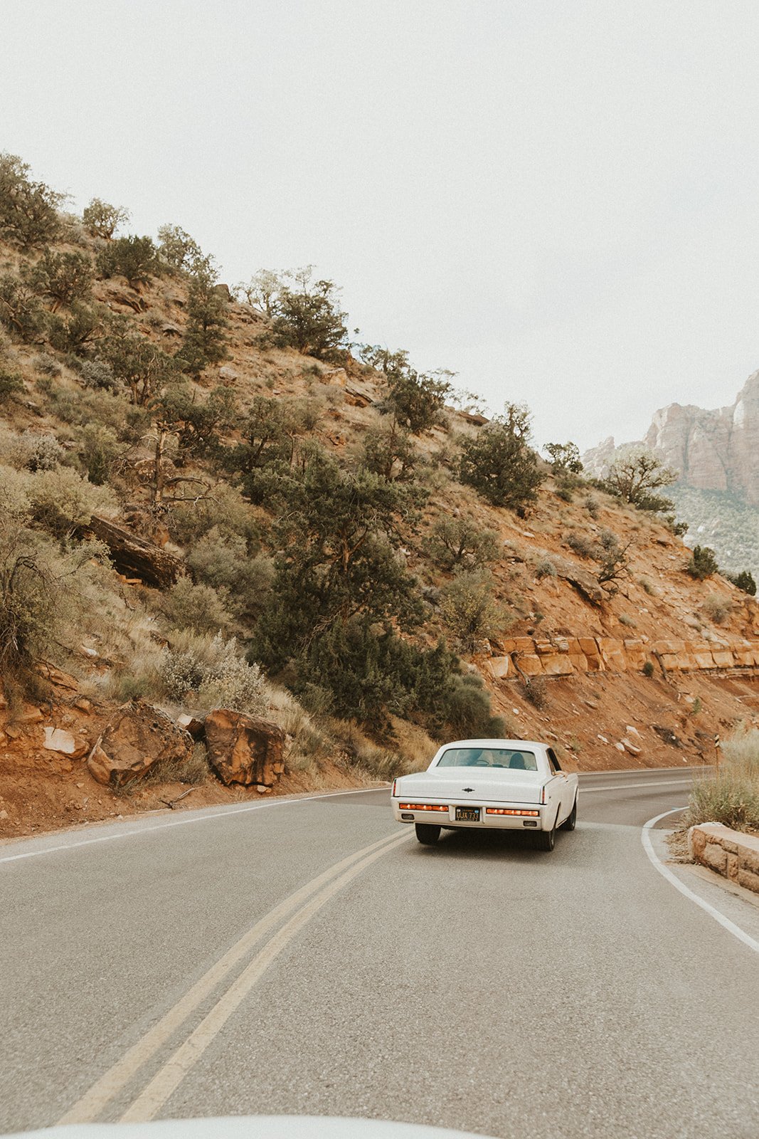 A white vintage car drives along a winding road through Zion National Park, perfectly capturing the adventurous feel of the session.