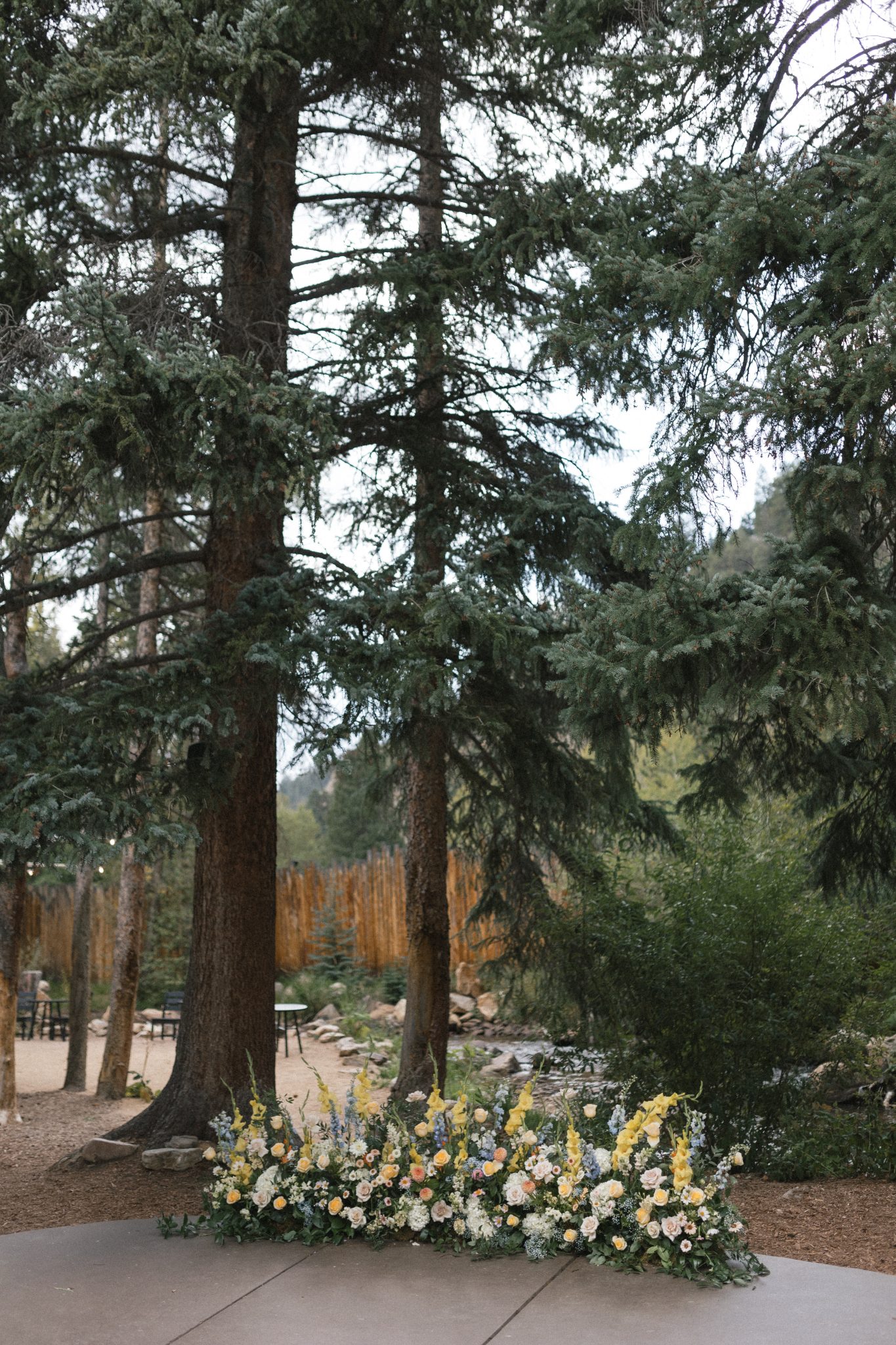 Outdoor ceremony site framed by tall evergreens and vibrant floral arrangements at Blackstone Rivers Ranch colorado wedding rocky mountain bride.