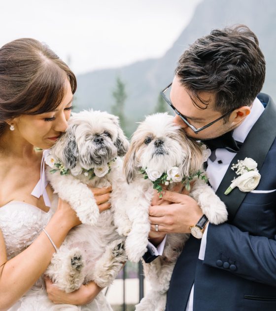 Grand White Floral Wedding with Cultural Details in Alberta