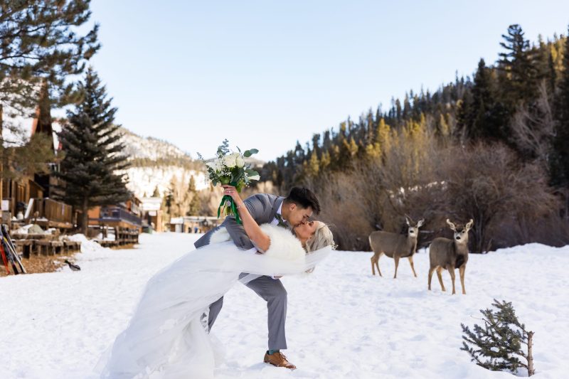 couple kissing in the snow with deer