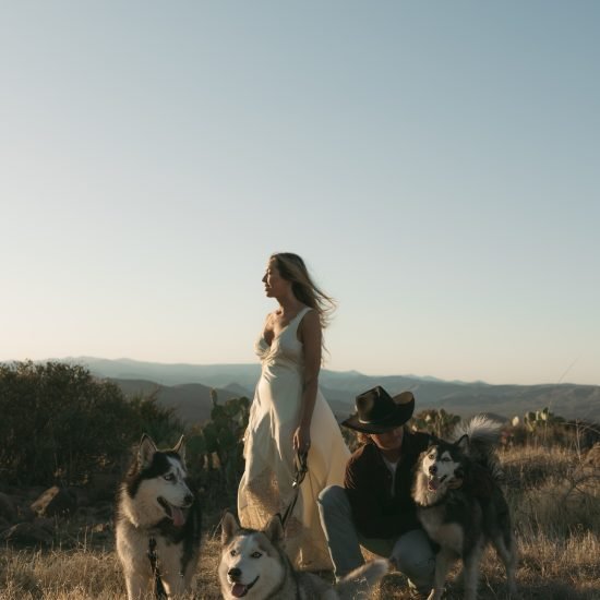 Three Pups and a Love Story in the Arizona Sun