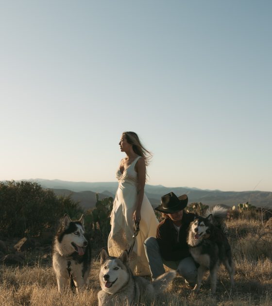 Three Pups and a Love Story in the Arizona Sun