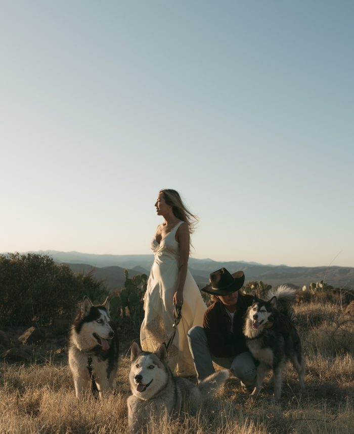 Three Pups and a Love Story in the Arizona Sun