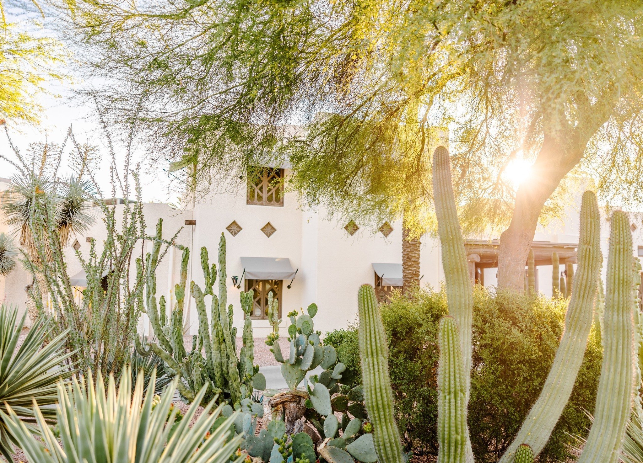 5 Arizona Resorts for a Dreamlike, Relaxing Honeymoon