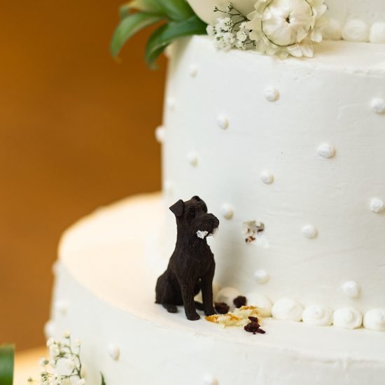 Picturesque Colorado Wedding with Breathtaking Views