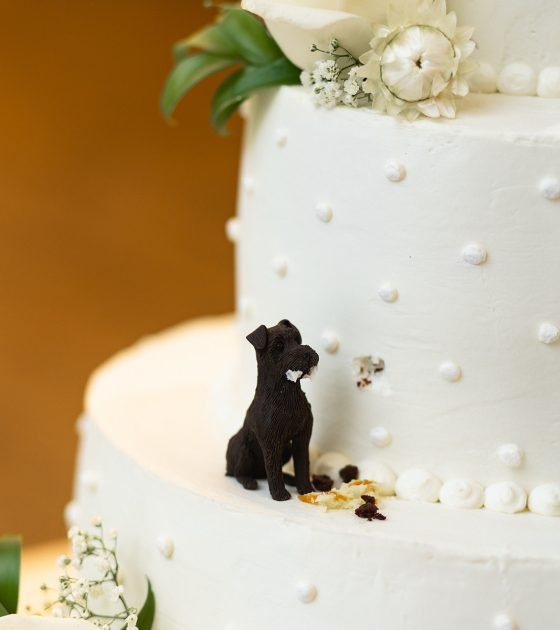 Picturesque Colorado Wedding with Breathtaking Views