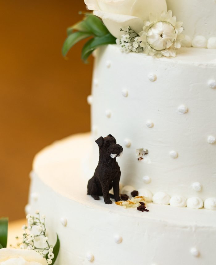 Picturesque Colorado Wedding with Breathtaking Views