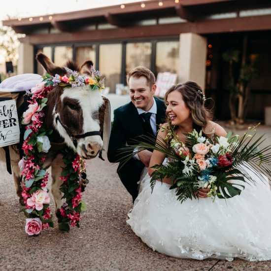 Cave Creek Beer Burro <span> | Arizona Wedding Beverage Burros </span>