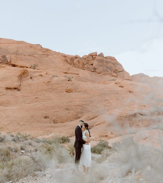 Nevada Desert Engagements Beneath Endless Horizons