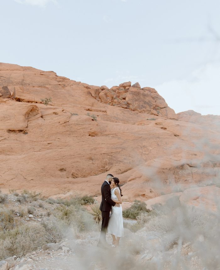 Nevada Desert Engagements Beneath Endless Horizons