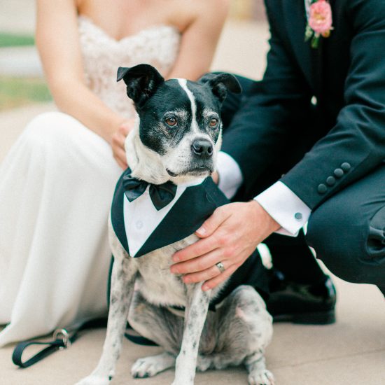 Colorado Mountain “I Dos” with Elegant Touches