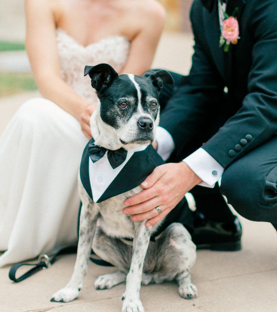 Colorado Mountain “I Dos” with Elegant Touches