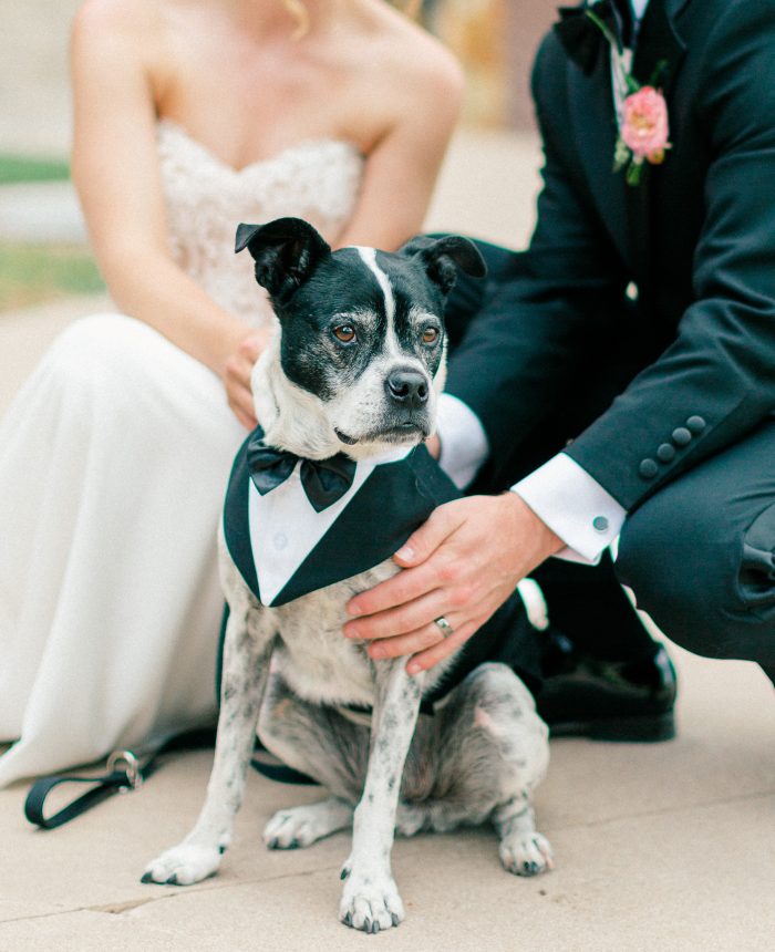 Colorado Mountain “I Dos” with Elegant Touches