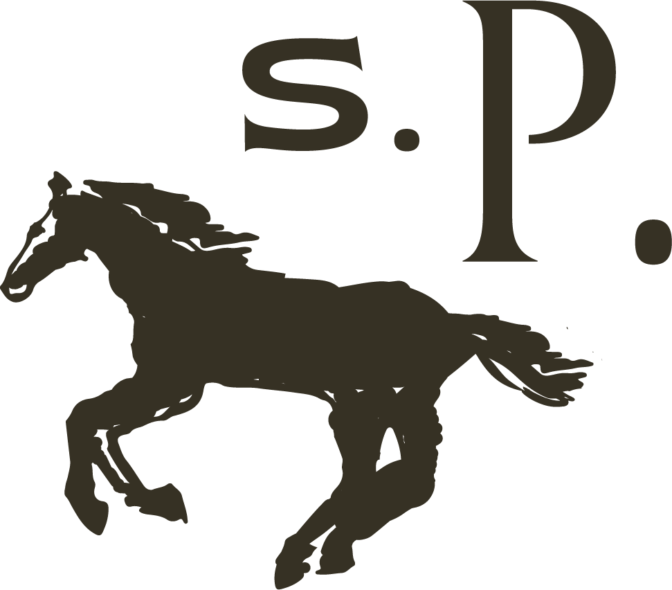Sarah Porter Photography <span> | Colorado Wedding Photographer </span>